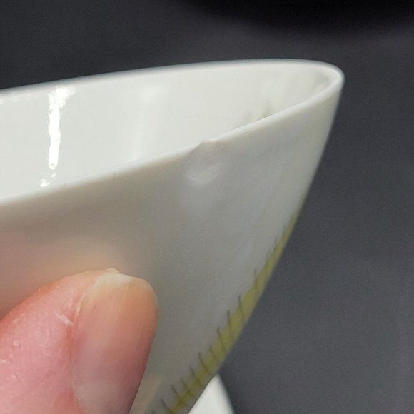 Rosenthal Continental Bunte Blatter Feather Pattern Coffee Pot Set Germany Vtg. - Picture 12 of 12